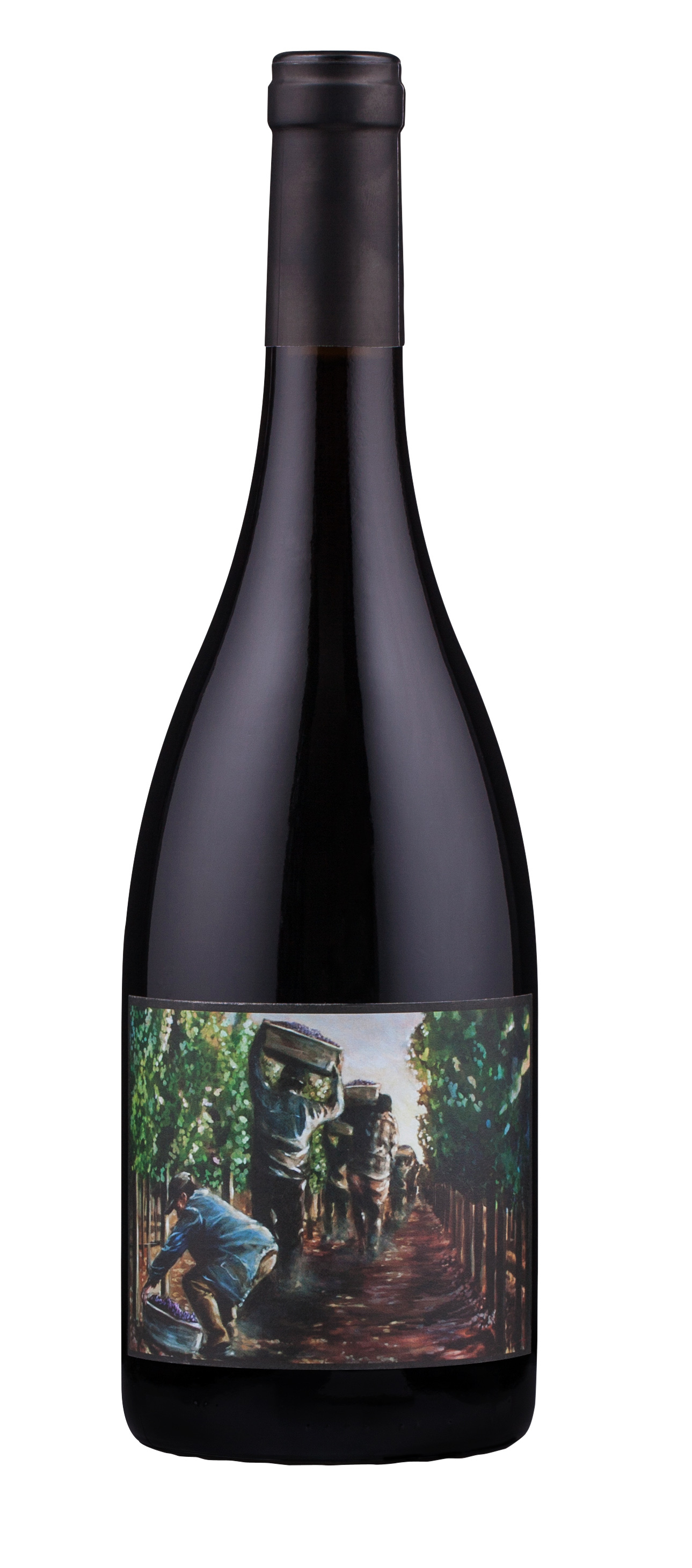 Product Image for Trahan 2018 Pinot Noir Los Carneros